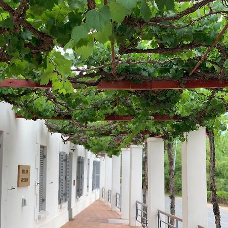 Port Wine Guesthouse Calitzdorp Esterno foto