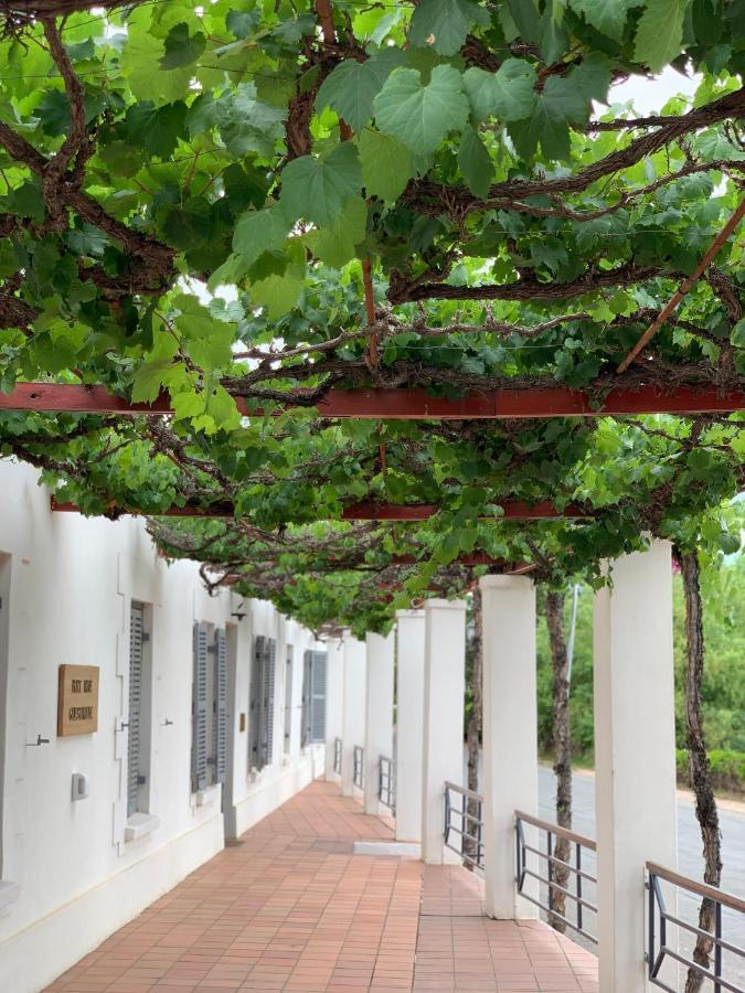 Port Wine Guesthouse Calitzdorp Esterno foto